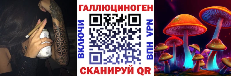 МЕГА сайт  Сортавала  Псилоцибиновые грибы мицелий  даркнет сайт 